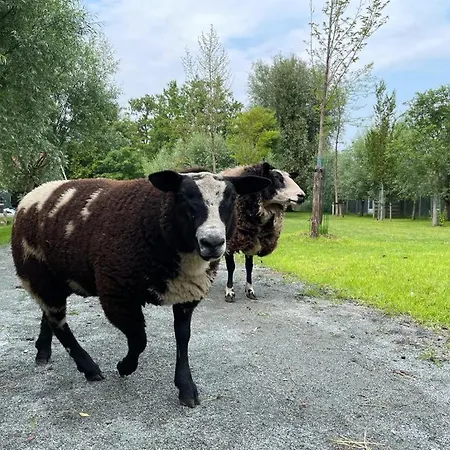 Flora's Frühstückspension