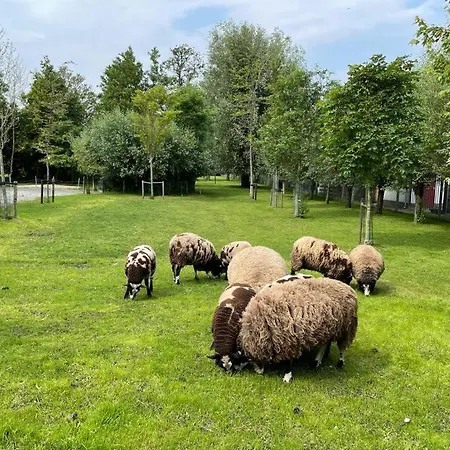 Bed & Breakfast Flora's