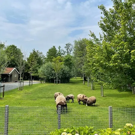 Flora's Bed & Breakfast