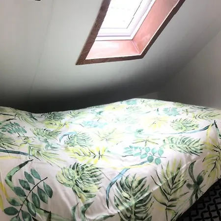 Flora's 3* Landsmeer