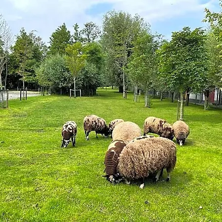 Flora's 3* Landsmeer