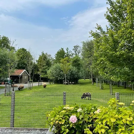 Flora's Bed and breakfast Landsmeer