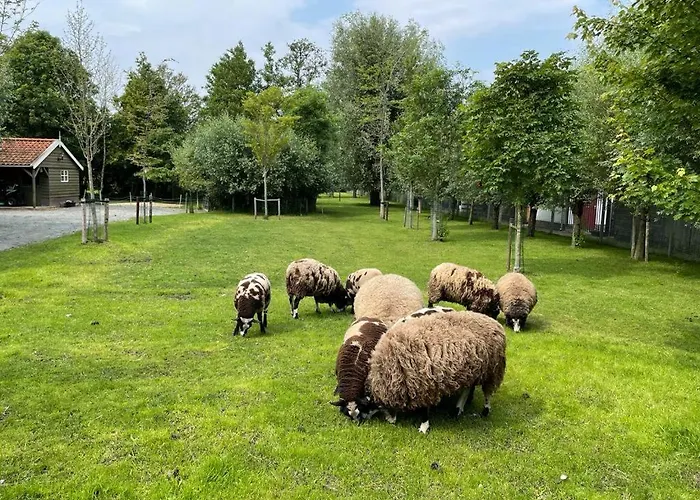 Bed and breakfast Flora's