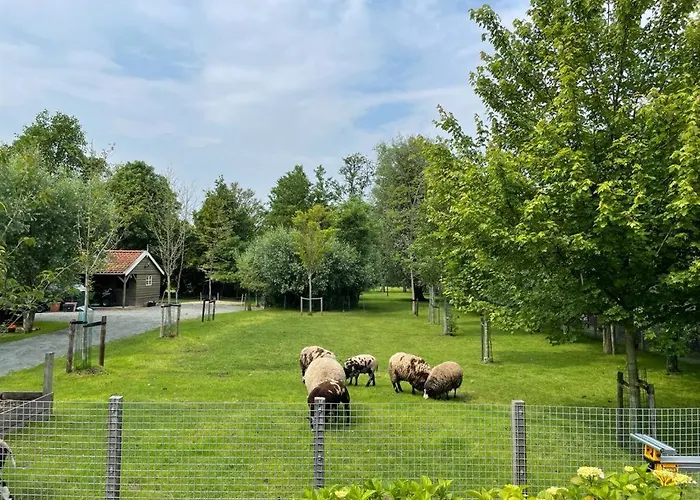 Flora's Bed and breakfast