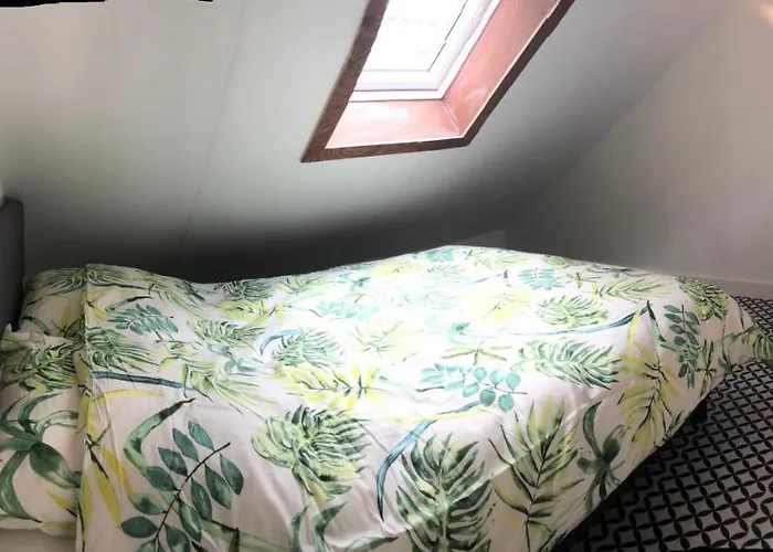 Flora's 3* Landsmeer